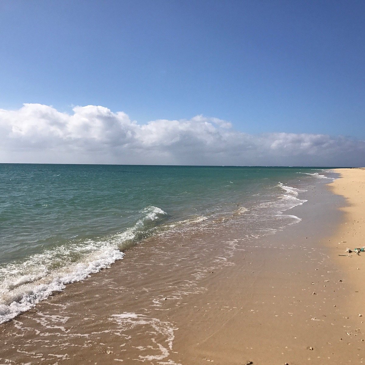 🙏 하마가와 우타키 이미지 7